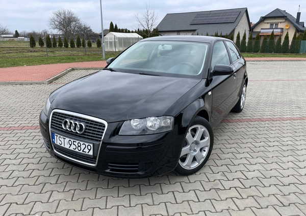 Audi A3 cena 18900 przebieg: 203000, rok produkcji 2006 z Kowalewo Pomorskie małe 301